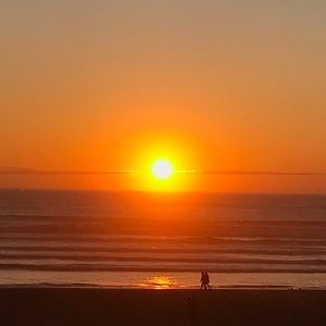 Meet your Posher, Sarahi